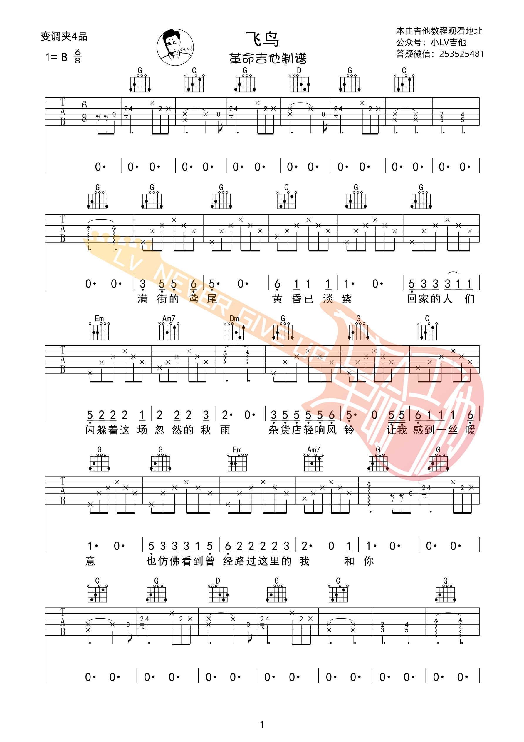 汪峰飞鸟吉他弹唱谱 革命吉他版