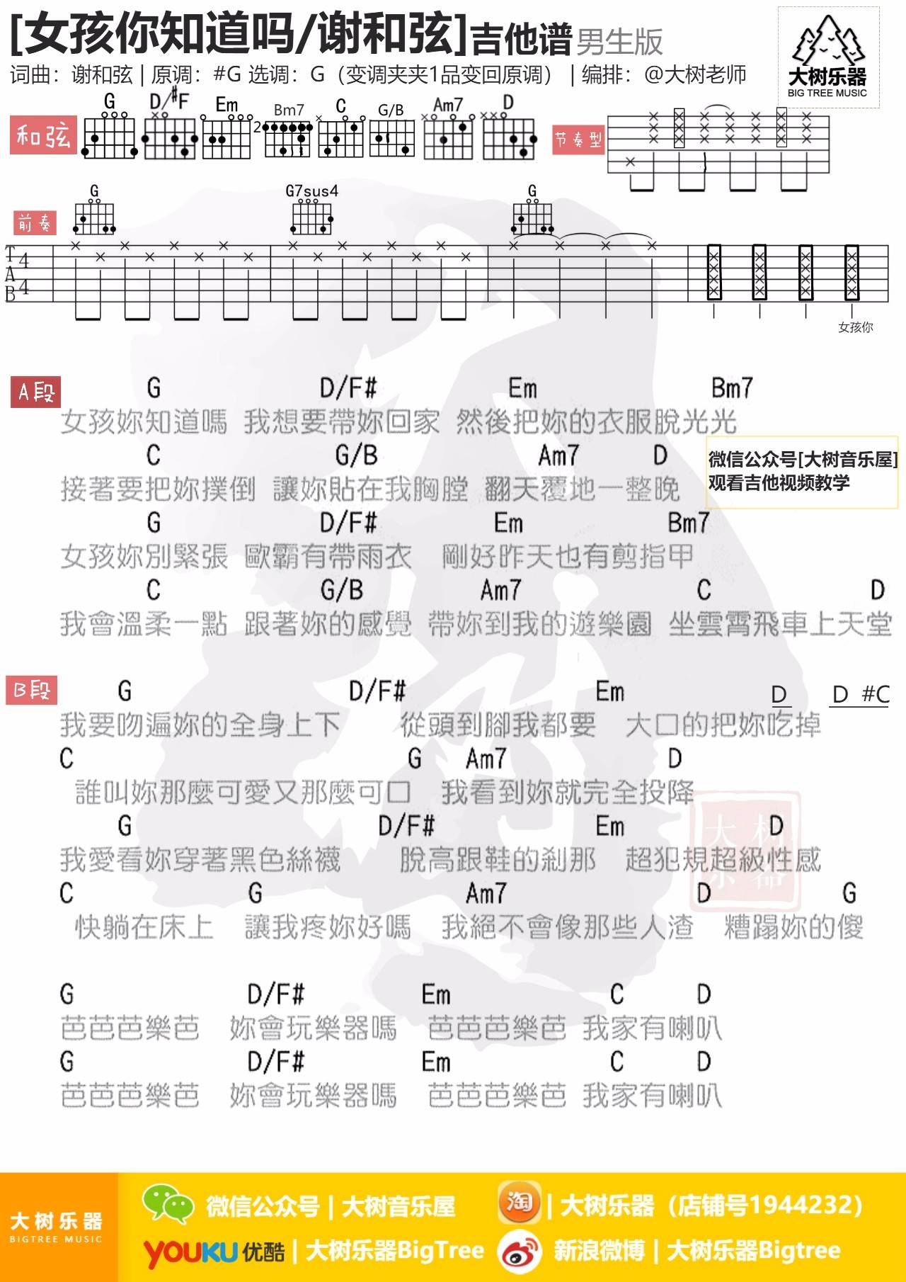 女孩你知道吗吉他谱 G调附视频_大树音乐屋编配_谢和弦 女孩你知道吗吉他谱 G调附视频_大树音乐屋编配_谢和弦