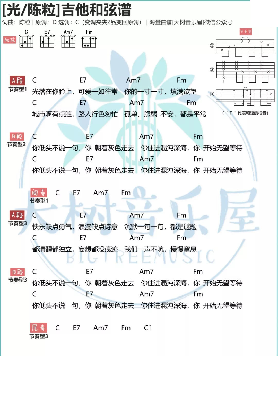 光吉他谱 C调附视频教学_大树音乐屋编配_陈粒