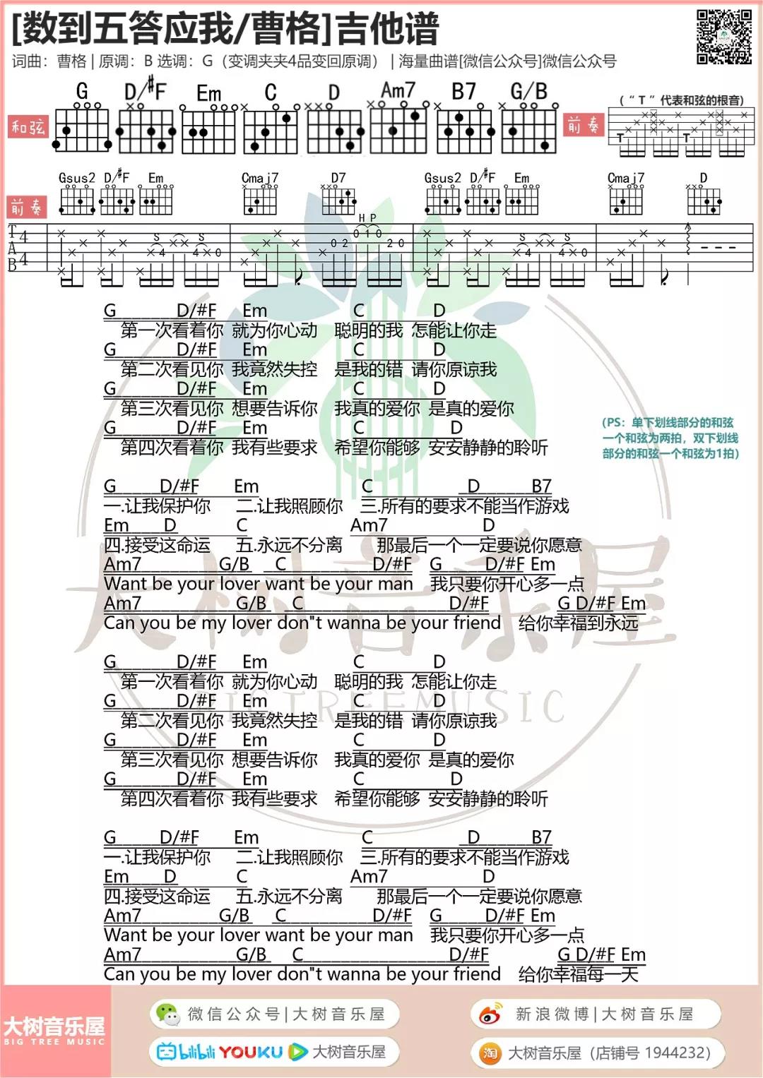 数到五答应我吉他谱 G调附前奏_大树音乐屋编配_曹格