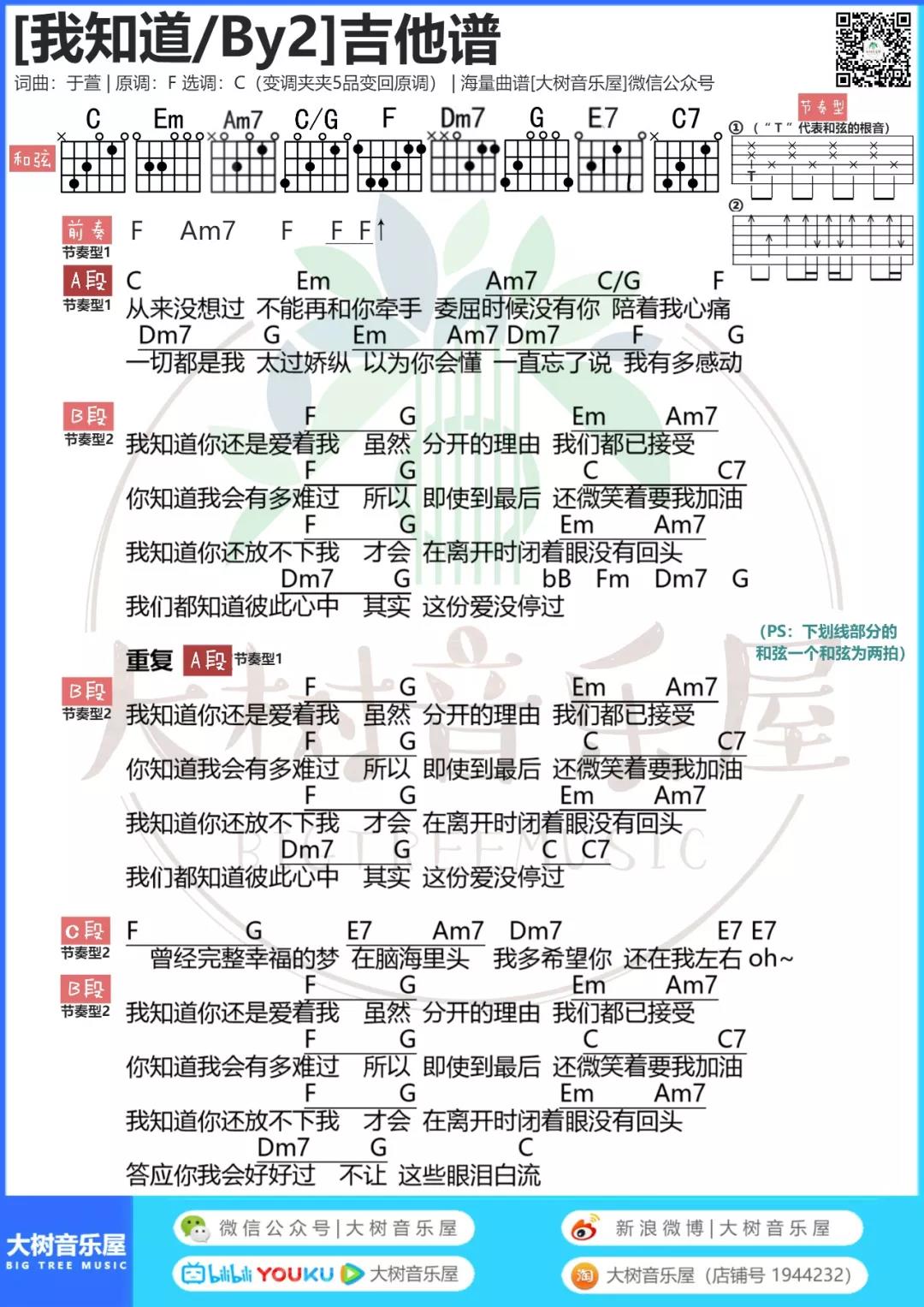 我知道吉他谱 C调和弦谱_大树音乐屋编配_BY2