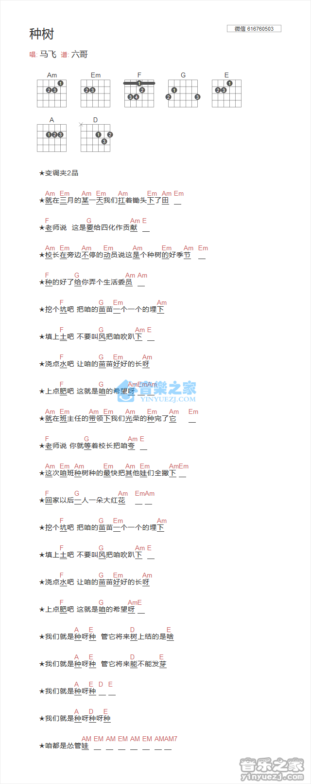 种树吉他谱 C调和弦谱_音乐之家编配_马飞