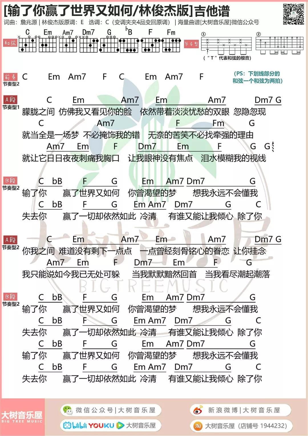 输了你赢了世界又如何吉他谱 C调_大树音乐屋编配_林俊杰