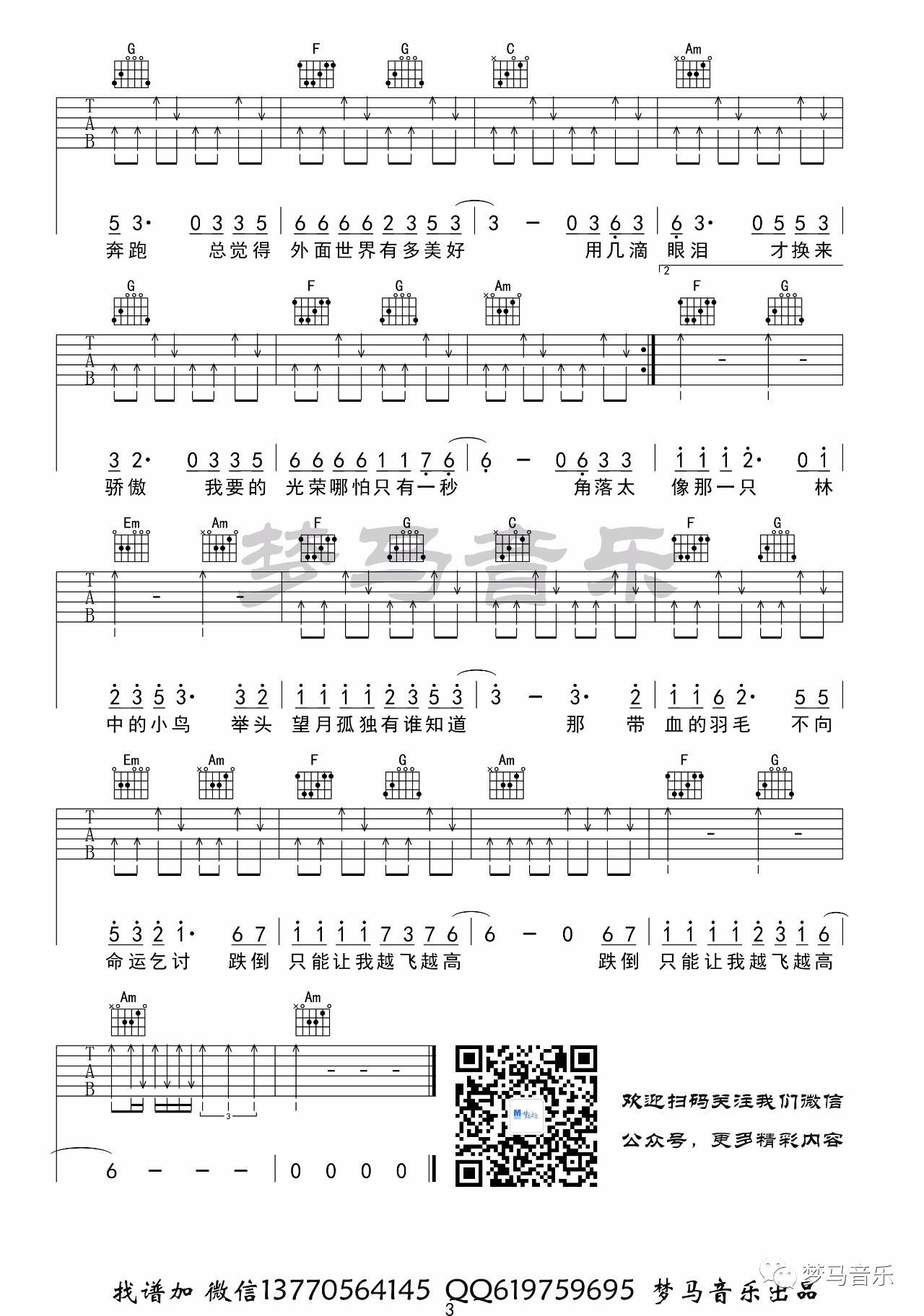 林中鸟吉他谱 C调_梦马音乐编配_葛林
