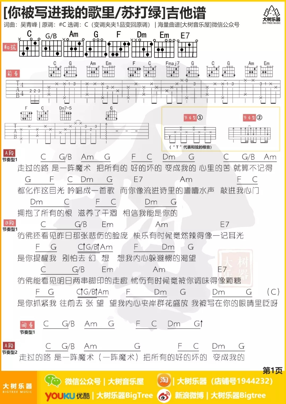 你被写进我的歌里吉他谱 C调_大树音乐屋编配_苏打绿
