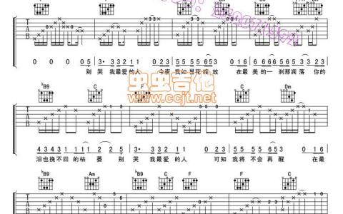 别哭我最爱的人吉他谱 F调简单版_潘华明编配_水木年华