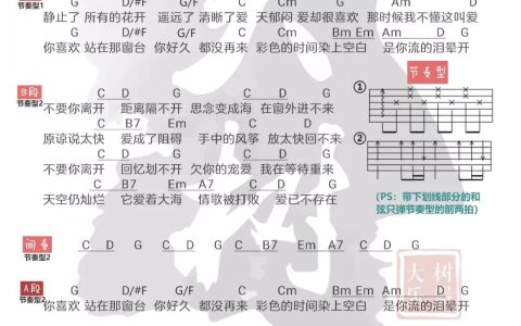 花海吉他谱 G调和弦谱_大树音乐屋编配_周杰伦