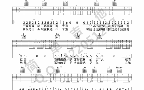 灿烂吉他谱 G调六线谱_简单吉他编配_许巍
