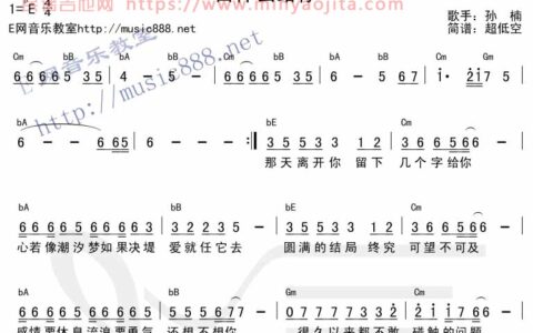 留什么给你吉他谱 E调_E网音乐教室编配_孙楠