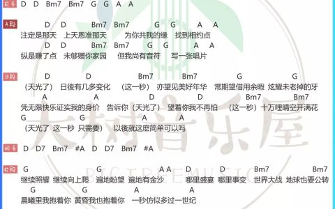 天光吉他谱 D调和弦谱_大树音乐屋编配_周柏豪