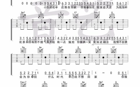 浪人琵琶吉他谱 C调音艺吉他编配_主旋律扫弦版高清图片谱_胡66