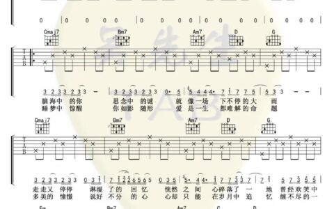 什么样的爱情吉他谱 G调精选版_吴先生编配_张阳阳