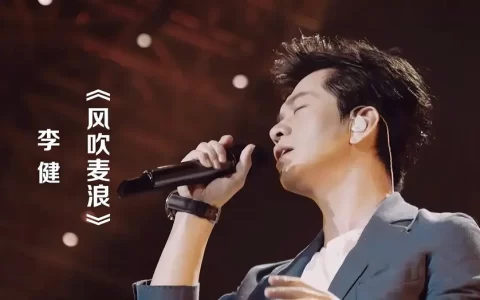 风吹麦浪吉他谱 A调男生版_延麟编配_李健