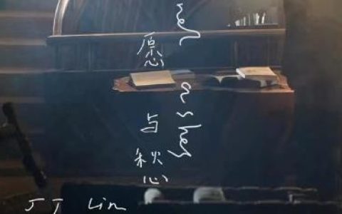 愿与愁吉他谱封面