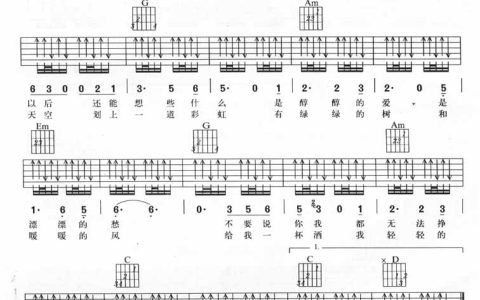 美丽的新世界吉他谱 G调扫弦版_风华艺校编配_伍佰